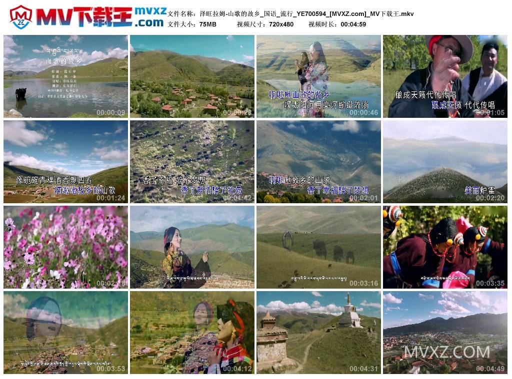 泽旺拉姆-山歌的故乡_国语_流行_YE700594